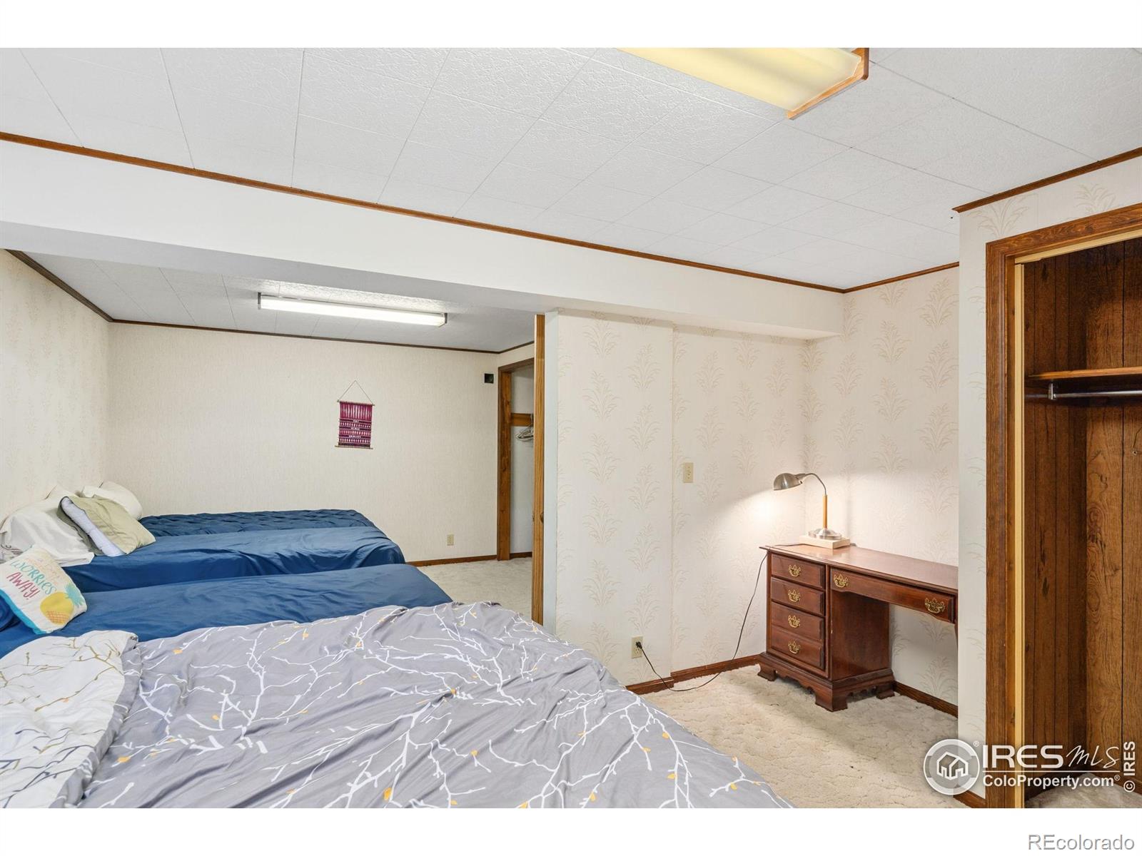 MLS Image #23 for 4109  red fox road,fort collins, Colorado