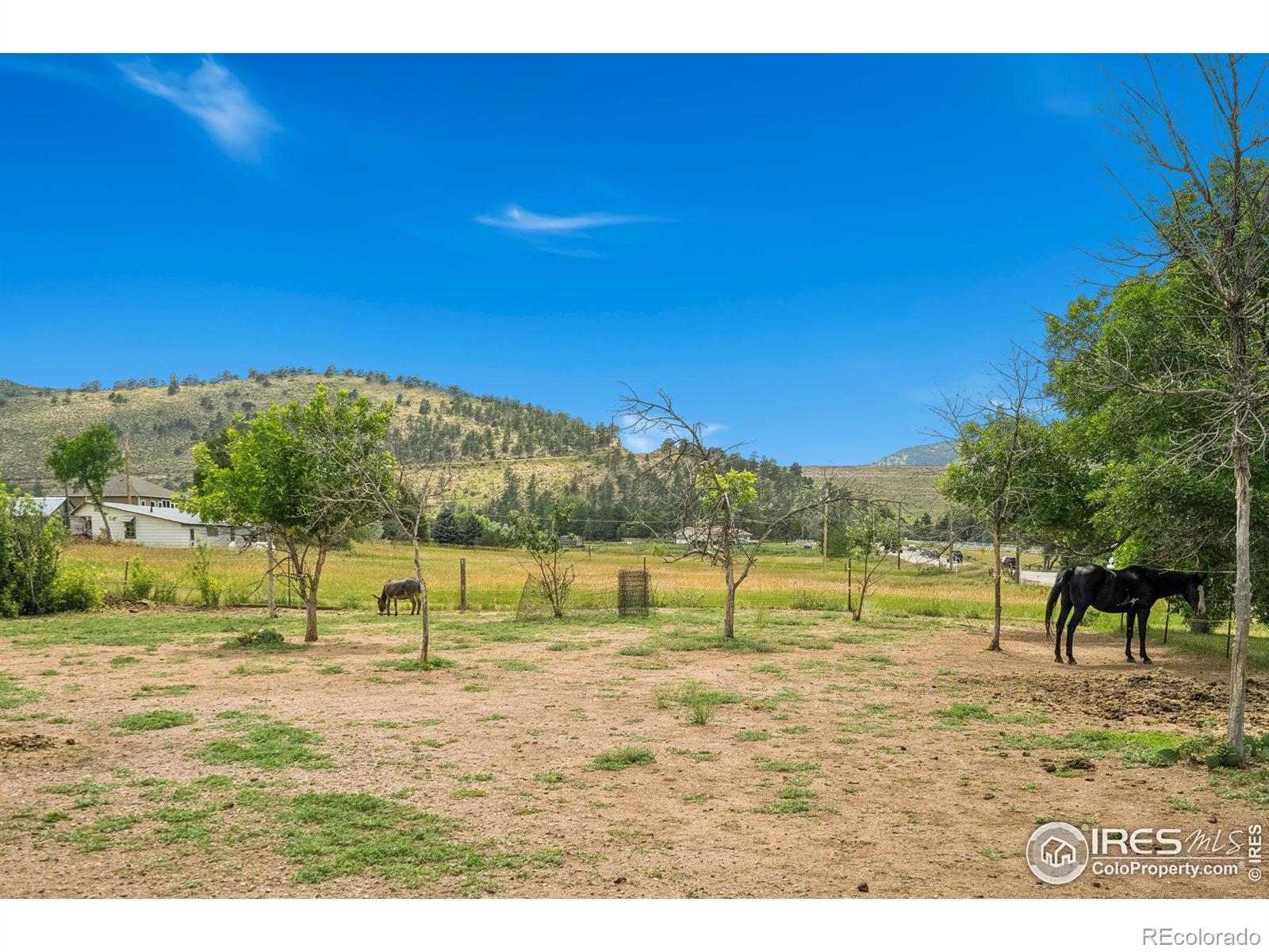MLS Image #30 for 4109  red fox road,fort collins, Colorado
