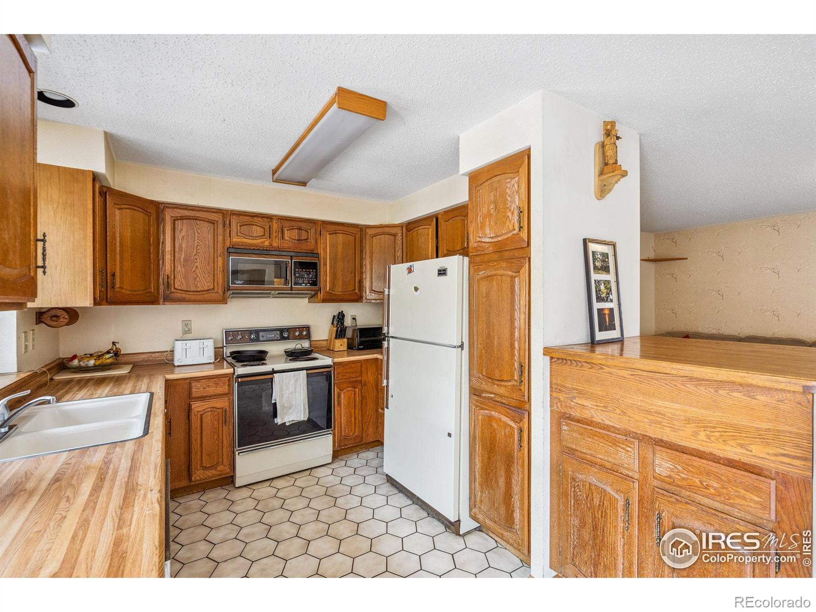 MLS Image #9 for 4109  red fox road,fort collins, Colorado