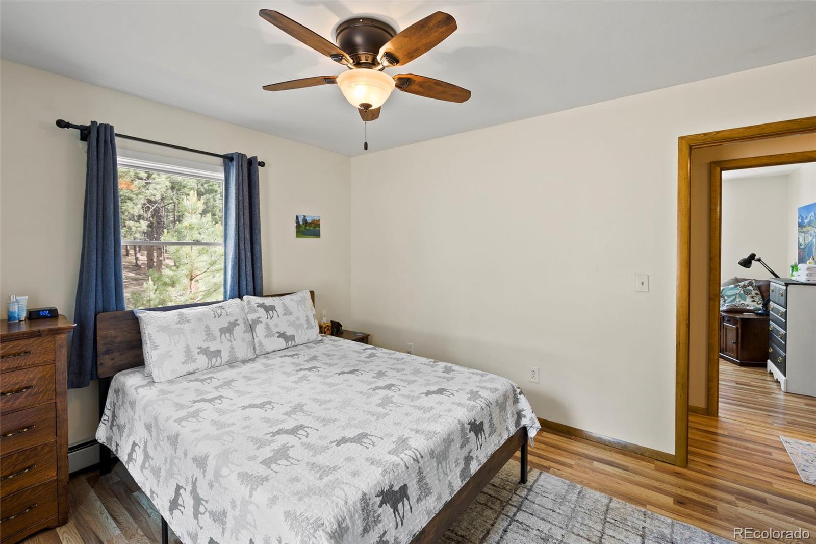 MLS Image #22 for 1110  pikes peak drive,florissant, Colorado