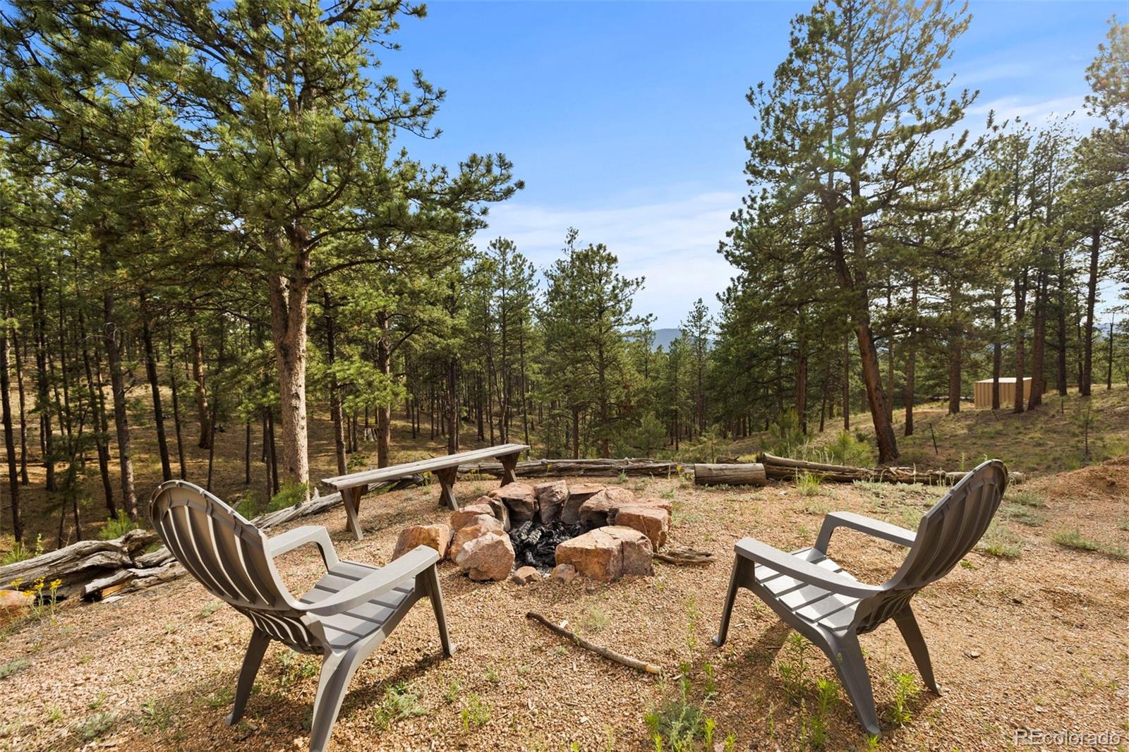 MLS Image #28 for 1110  pikes peak drive,florissant, Colorado