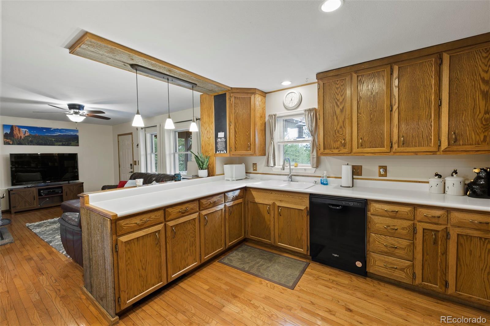 MLS Image #7 for 1110  pikes peak drive,florissant, Colorado