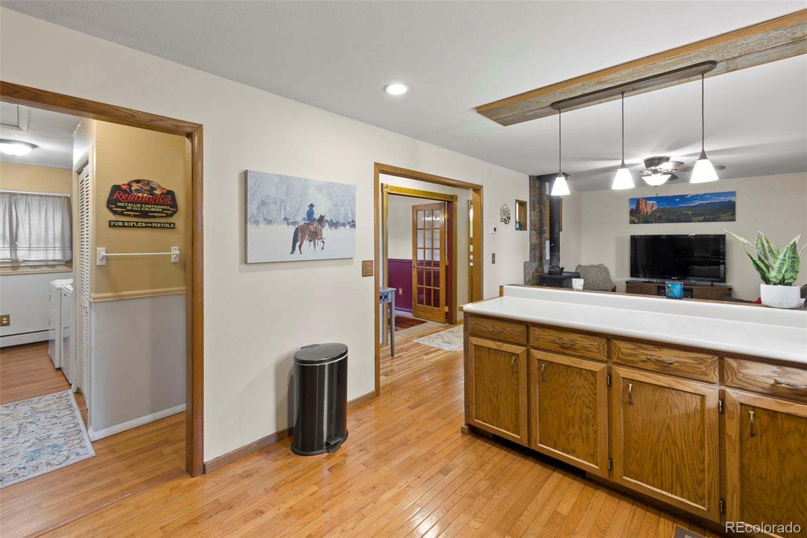MLS Image #8 for 1110  pikes peak drive,florissant, Colorado