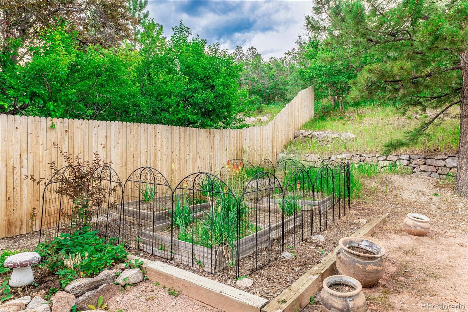MLS Image #37 for 1412  pinyon drive,castle rock, Colorado
