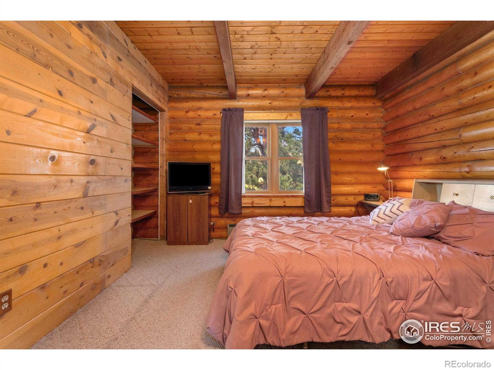 MLS Image #14 for 815 w county road 82e ,livermore, Colorado