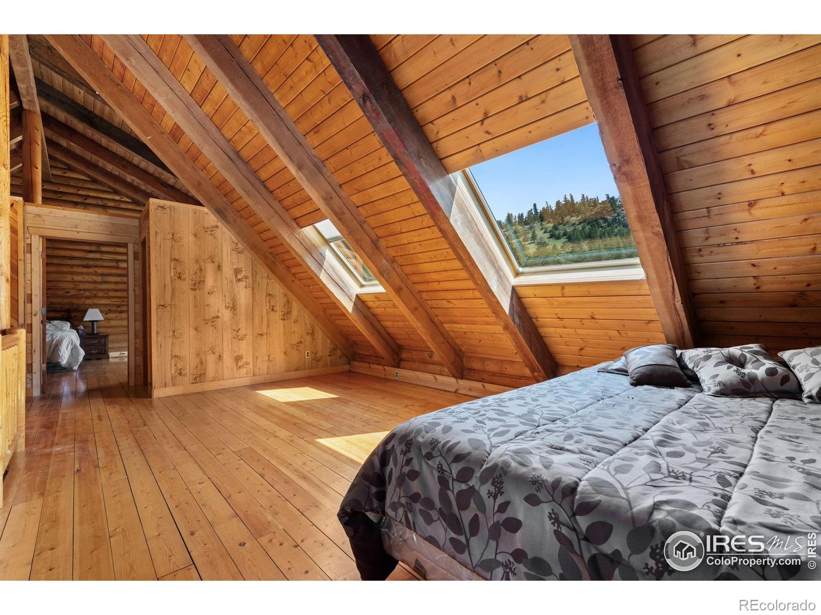 MLS Image #20 for 815 w county road 82e ,livermore, Colorado