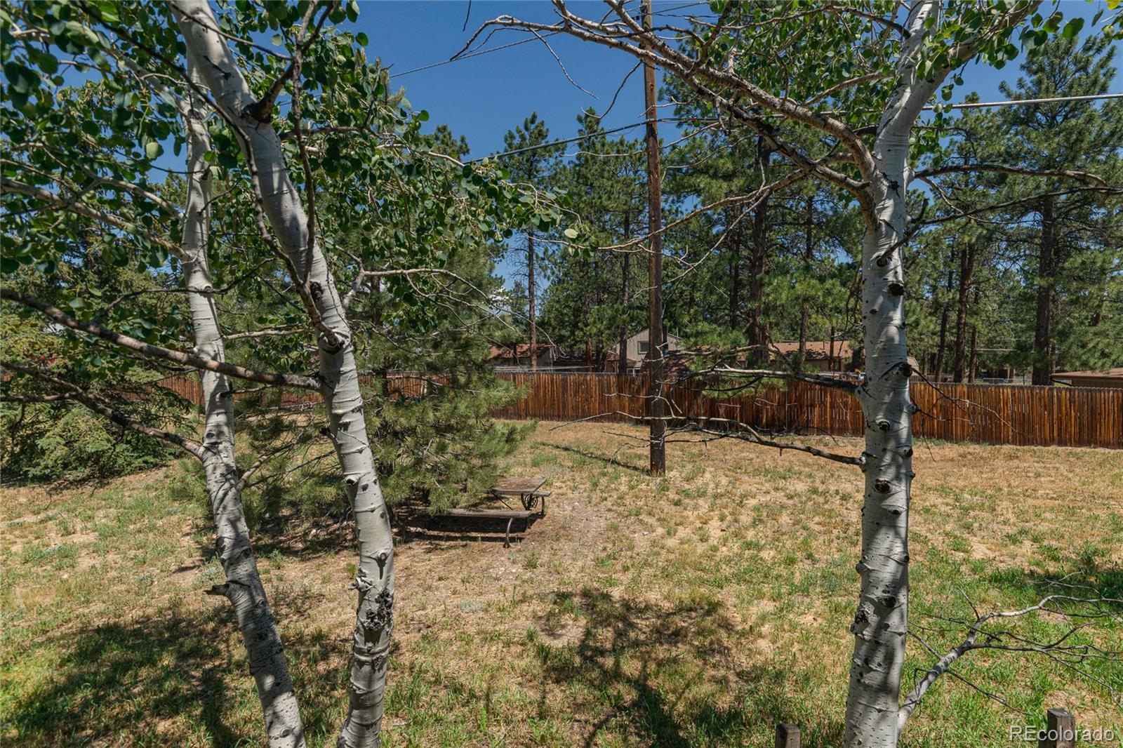 MLS Image #20 for 30381  chestnut drive,evergreen, Colorado
