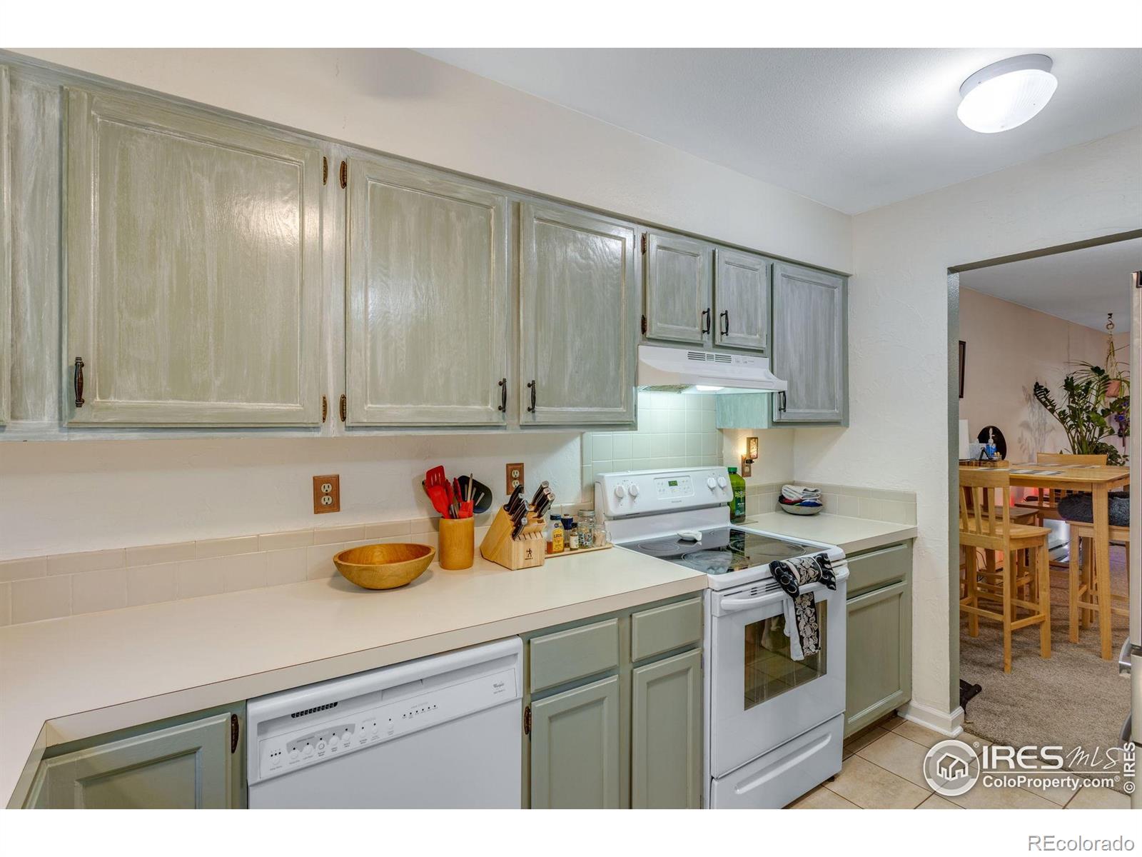 MLS Image #15 for 1333  village park court,fort collins, Colorado