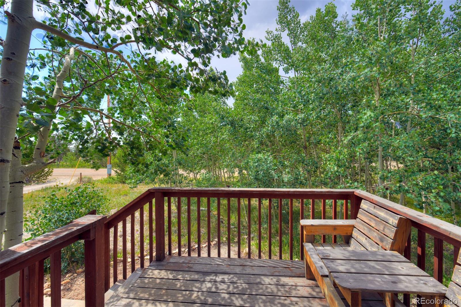 MLS Image #23 for 269  high creek road,fairplay, Colorado