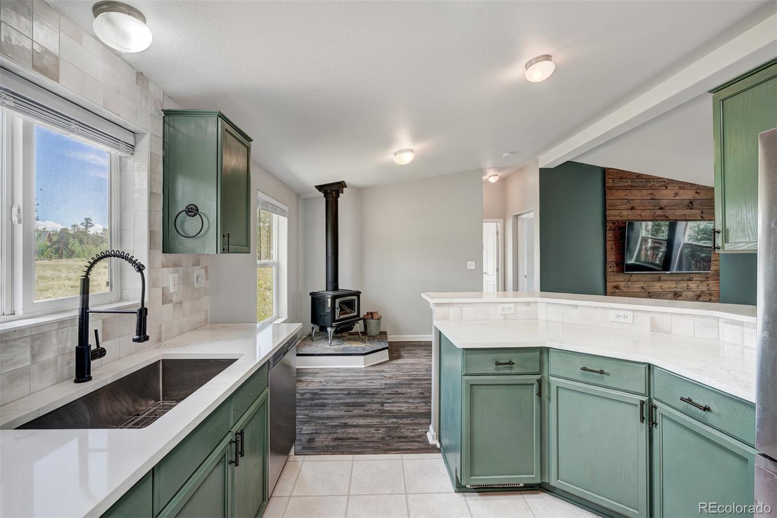MLS Image #9 for 269  high creek road,fairplay, Colorado