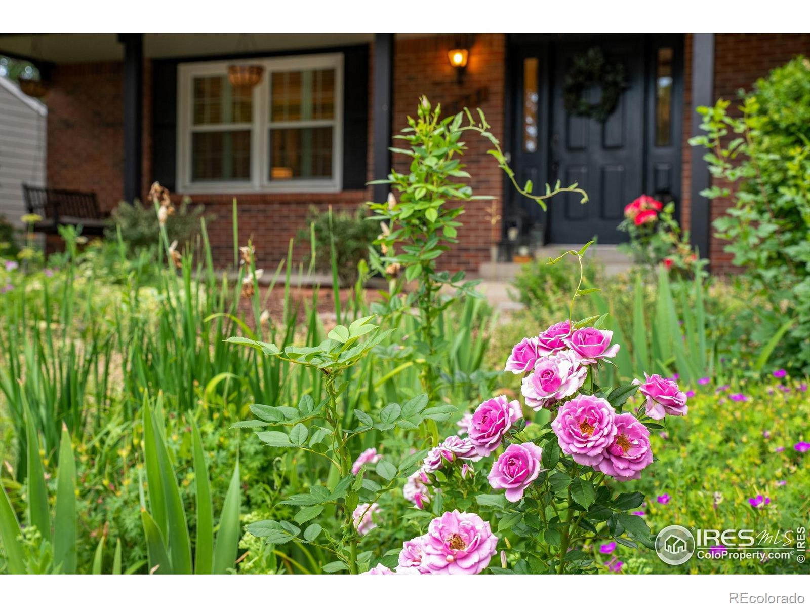 MLS Image #12 for 1673  shenandoah circle,fort collins, Colorado