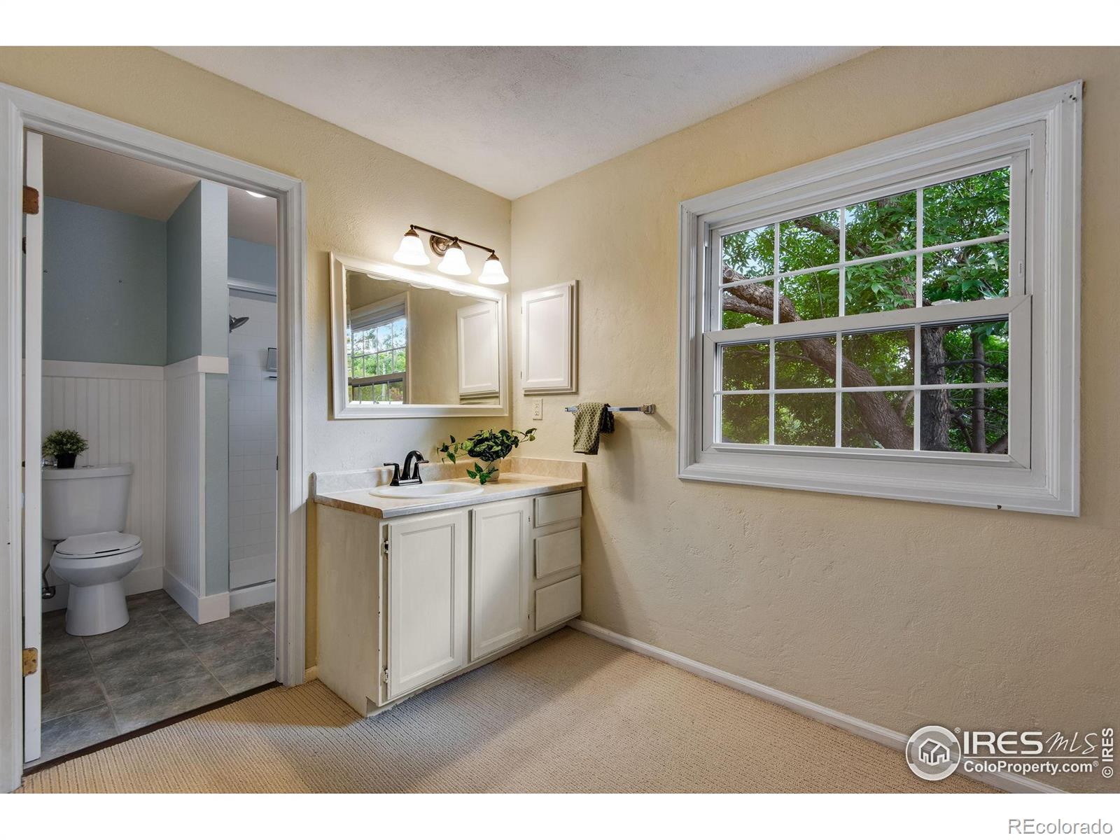 MLS Image #24 for 1673  shenandoah circle,fort collins, Colorado