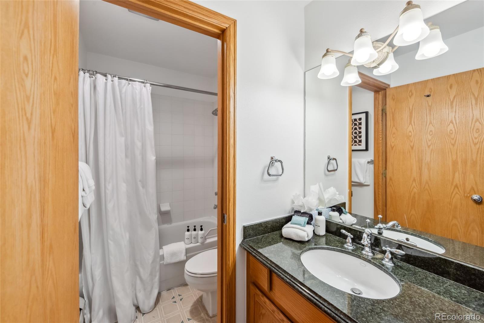 MLS Image #12 for 100 s park avenue,breckenridge, Colorado