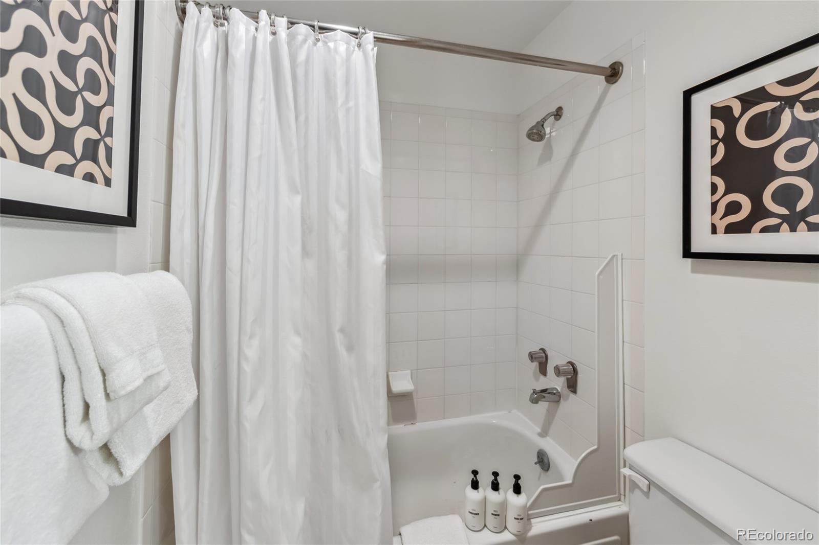 MLS Image #13 for 100 s park avenue,breckenridge, Colorado