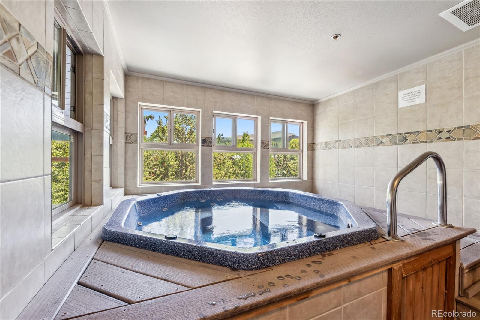 MLS Image #24 for 100 s park avenue,breckenridge, Colorado