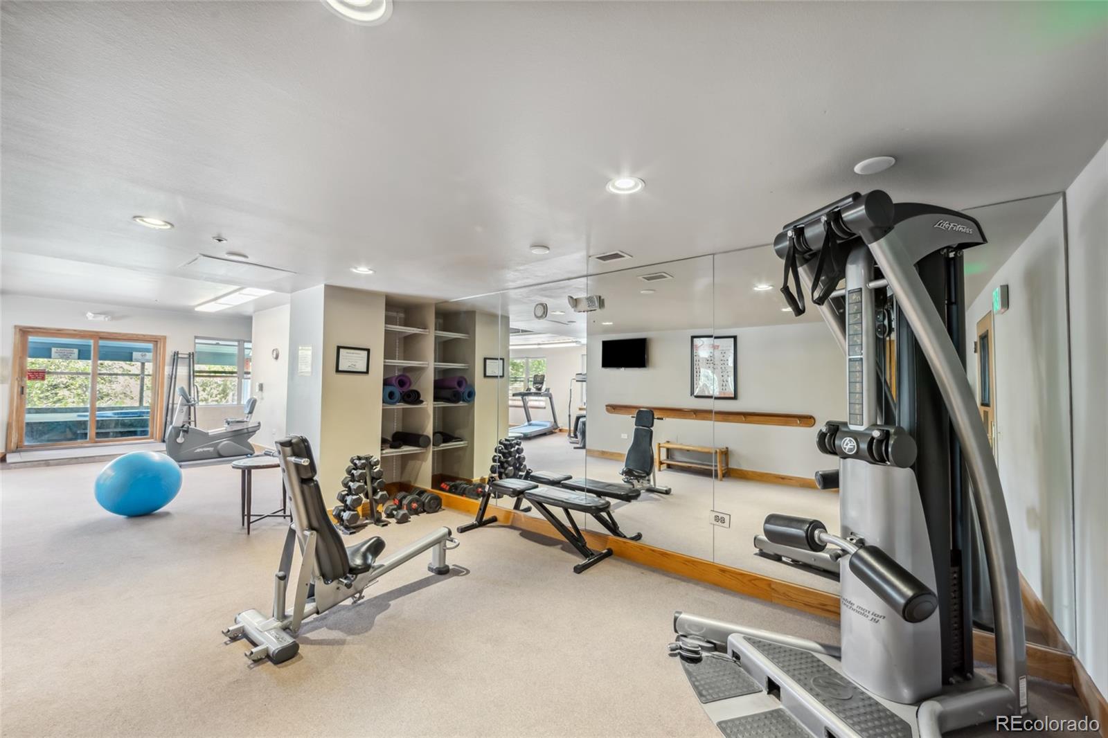 MLS Image #25 for 100 s park avenue,breckenridge, Colorado