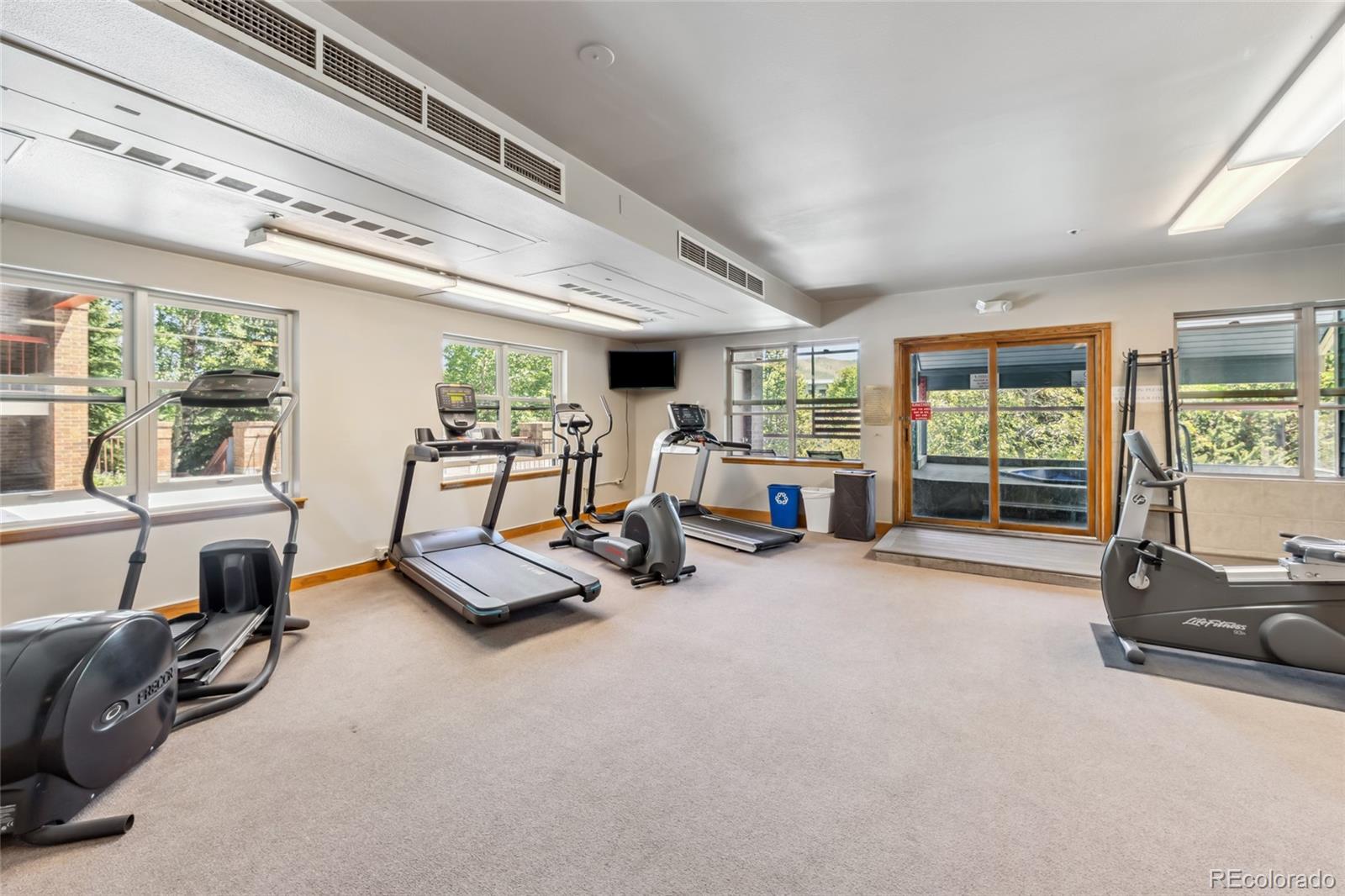 MLS Image #26 for 100 s park avenue,breckenridge, Colorado