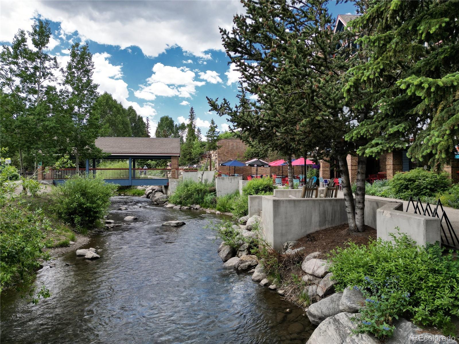 MLS Image #39 for 100 s park avenue,breckenridge, Colorado