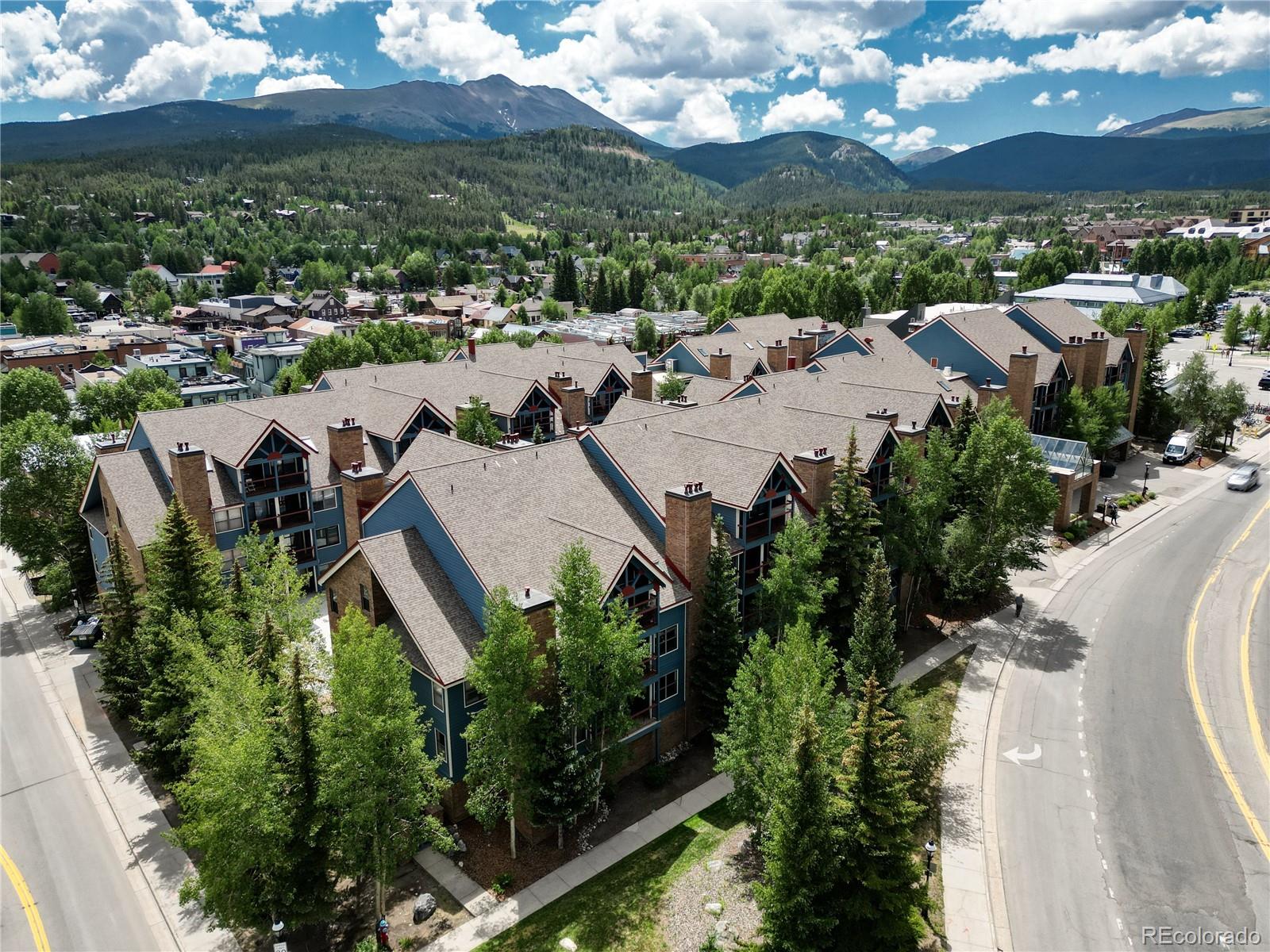 MLS Image #43 for 100 s park avenue,breckenridge, Colorado
