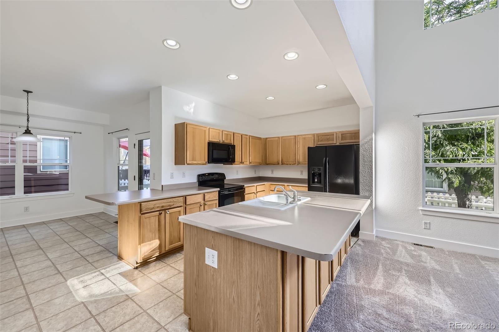 MLS Image #9 for 3514 e 141st drive,thornton, Colorado