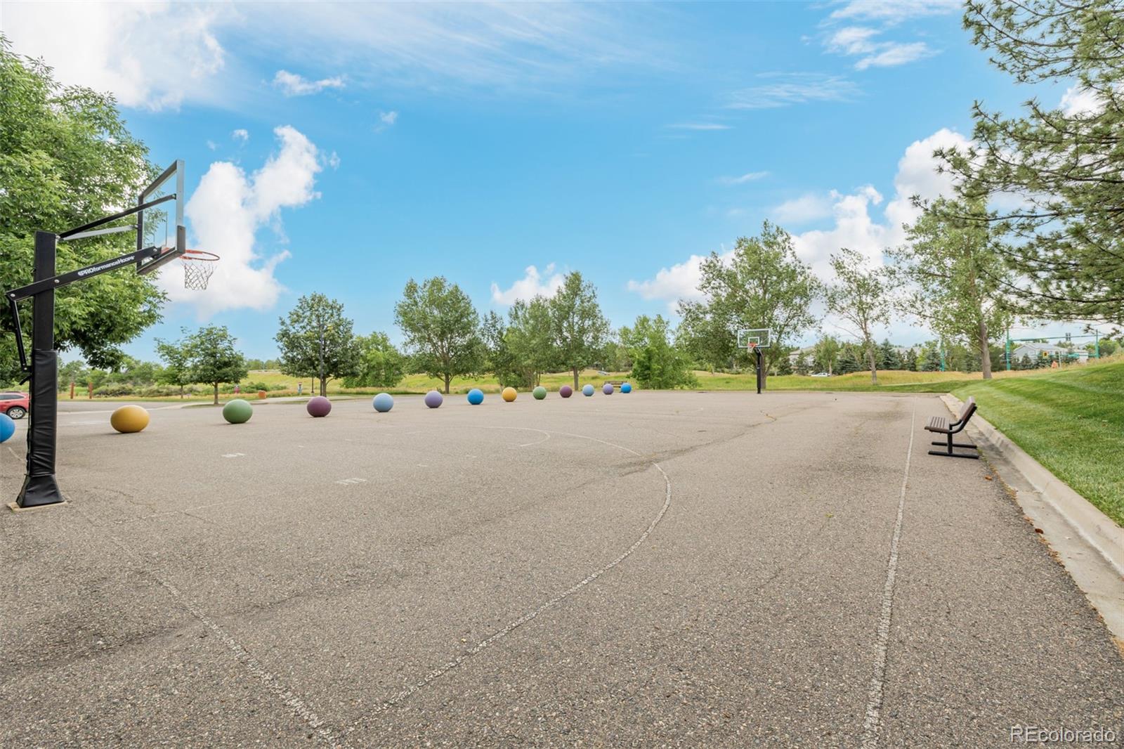 MLS Image #41 for 2321  dailey street,superior, Colorado