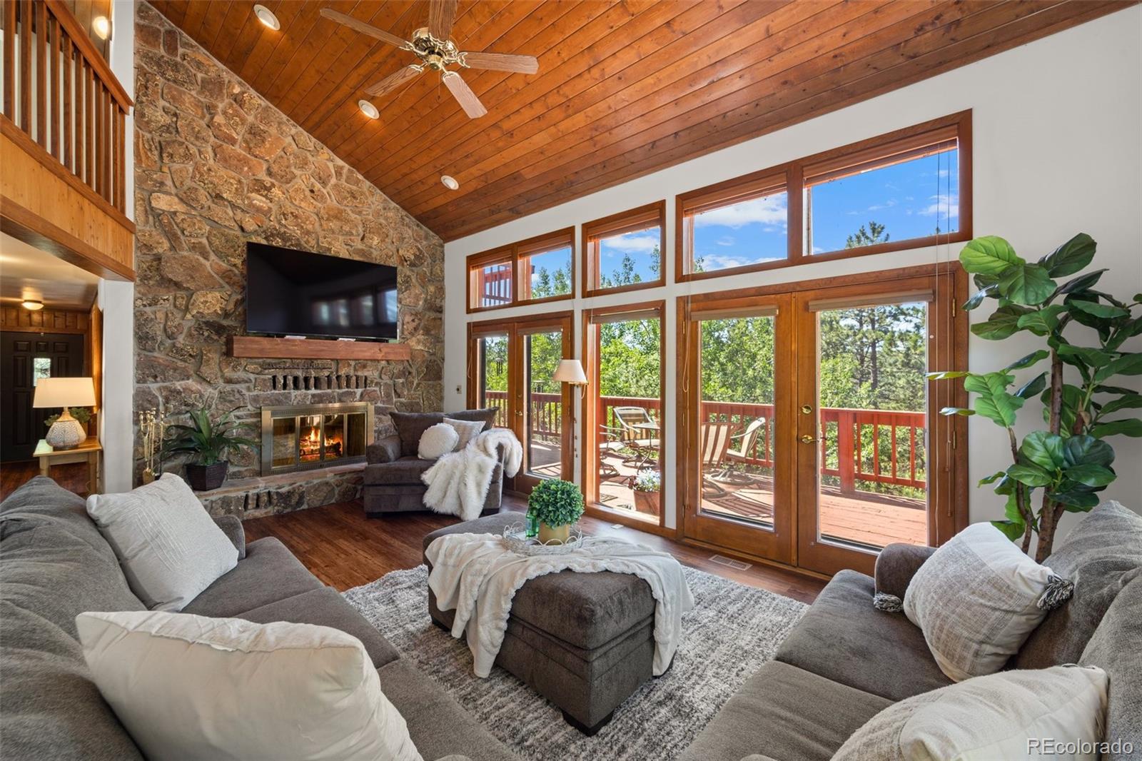 MLS Image #19 for 330  cottonwood lake drive,divide, Colorado