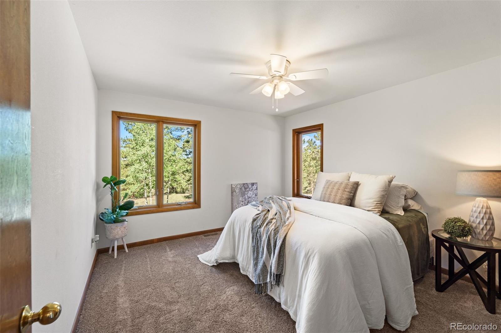 MLS Image #23 for 330  cottonwood lake drive,divide, Colorado