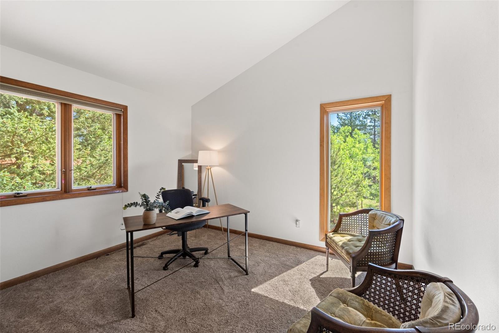 MLS Image #24 for 330  cottonwood lake drive,divide, Colorado