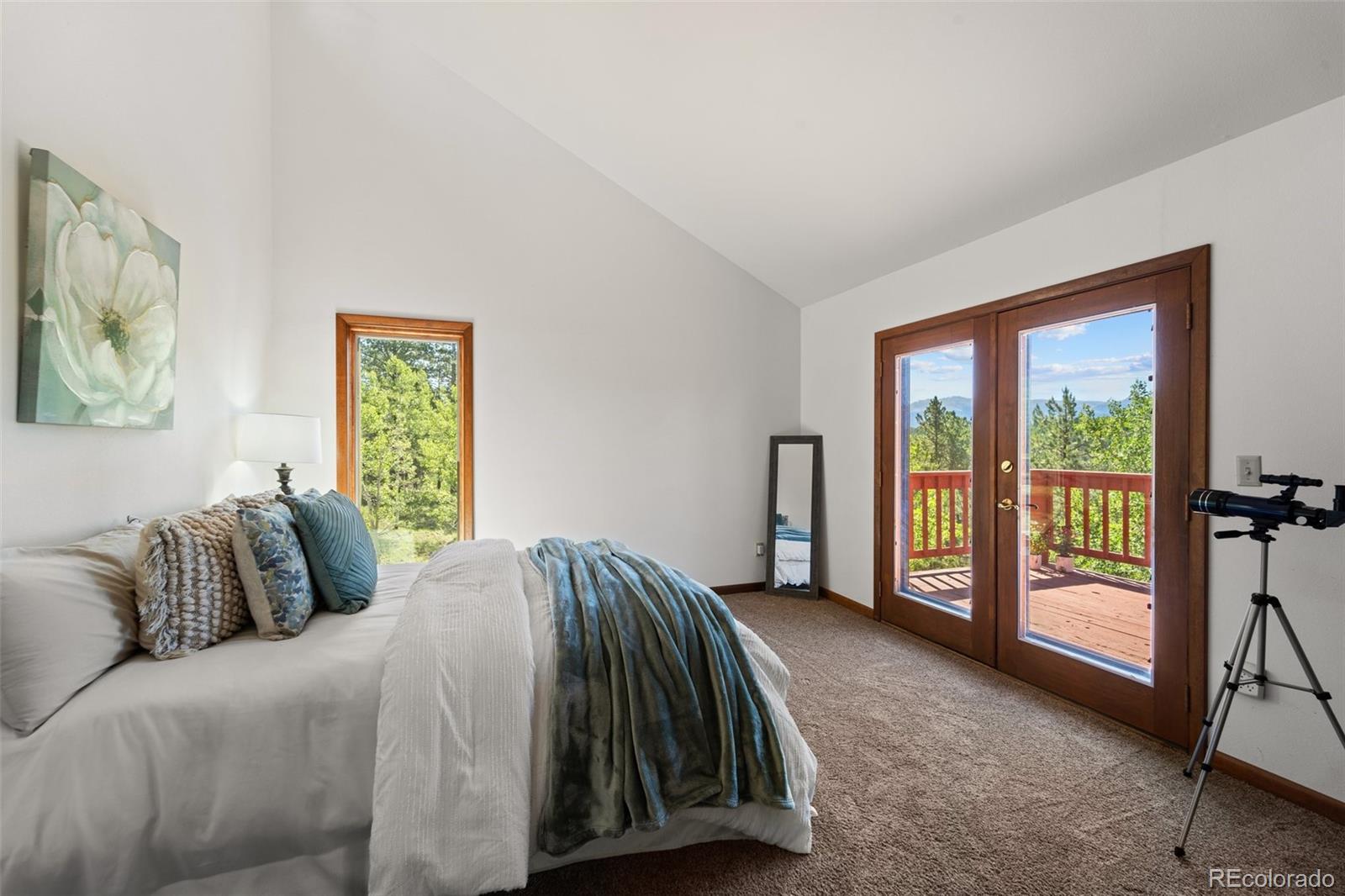 MLS Image #25 for 330  cottonwood lake drive,divide, Colorado