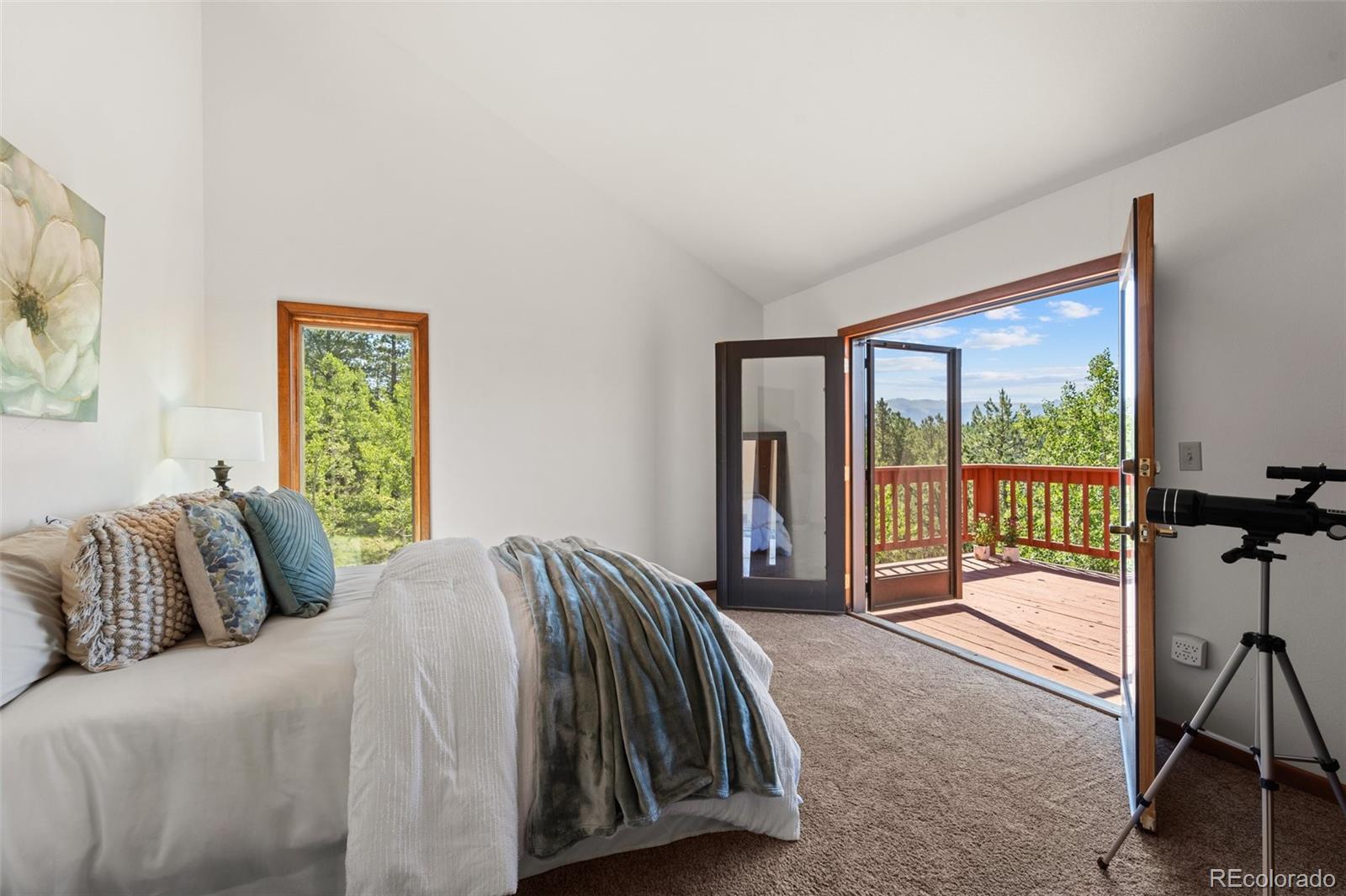 MLS Image #27 for 330  cottonwood lake drive,divide, Colorado
