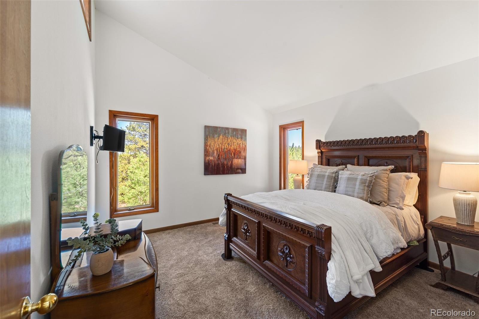 MLS Image #28 for 330  cottonwood lake drive,divide, Colorado