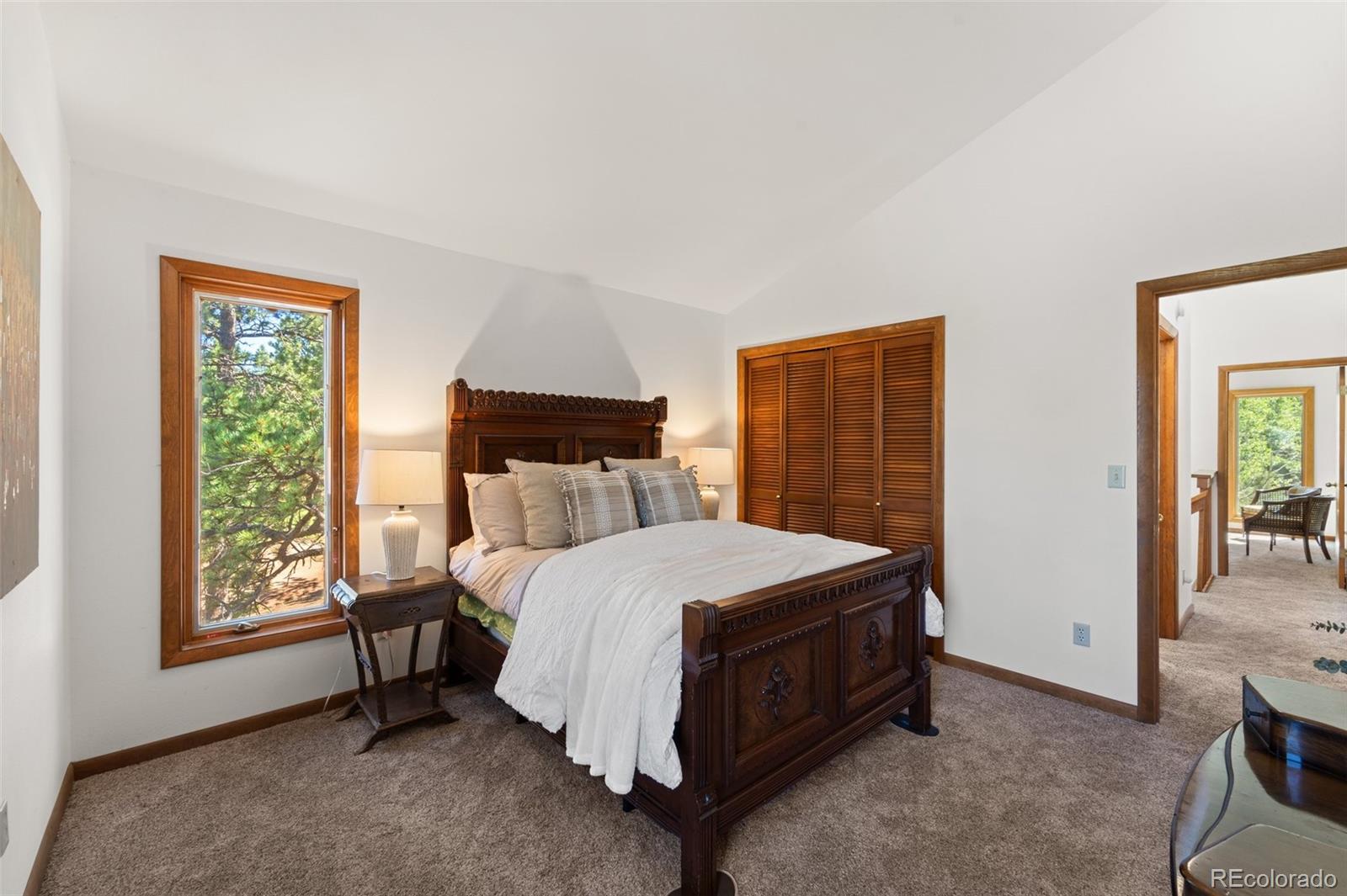 MLS Image #29 for 330  cottonwood lake drive,divide, Colorado