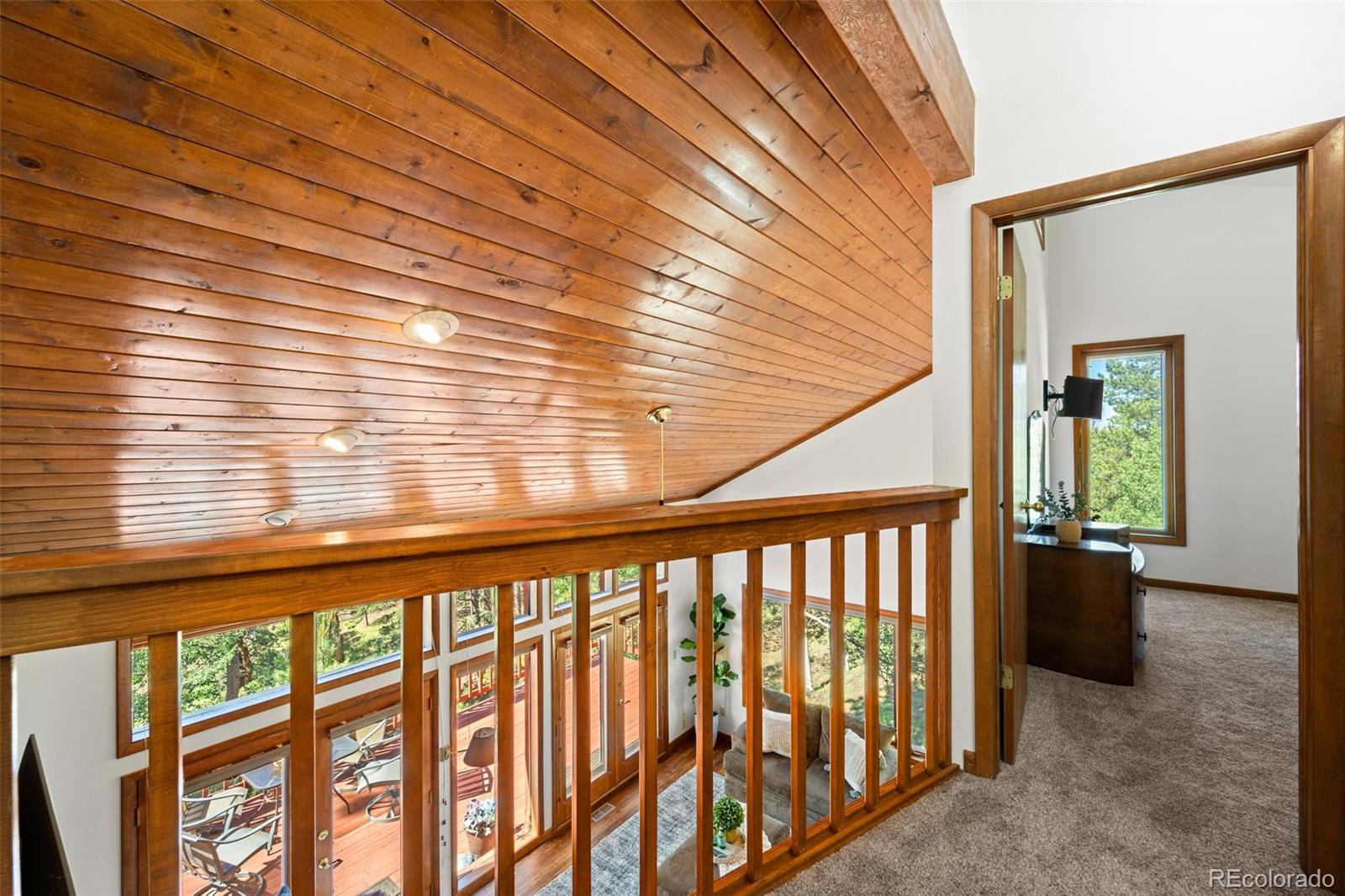 MLS Image #31 for 330  cottonwood lake drive,divide, Colorado