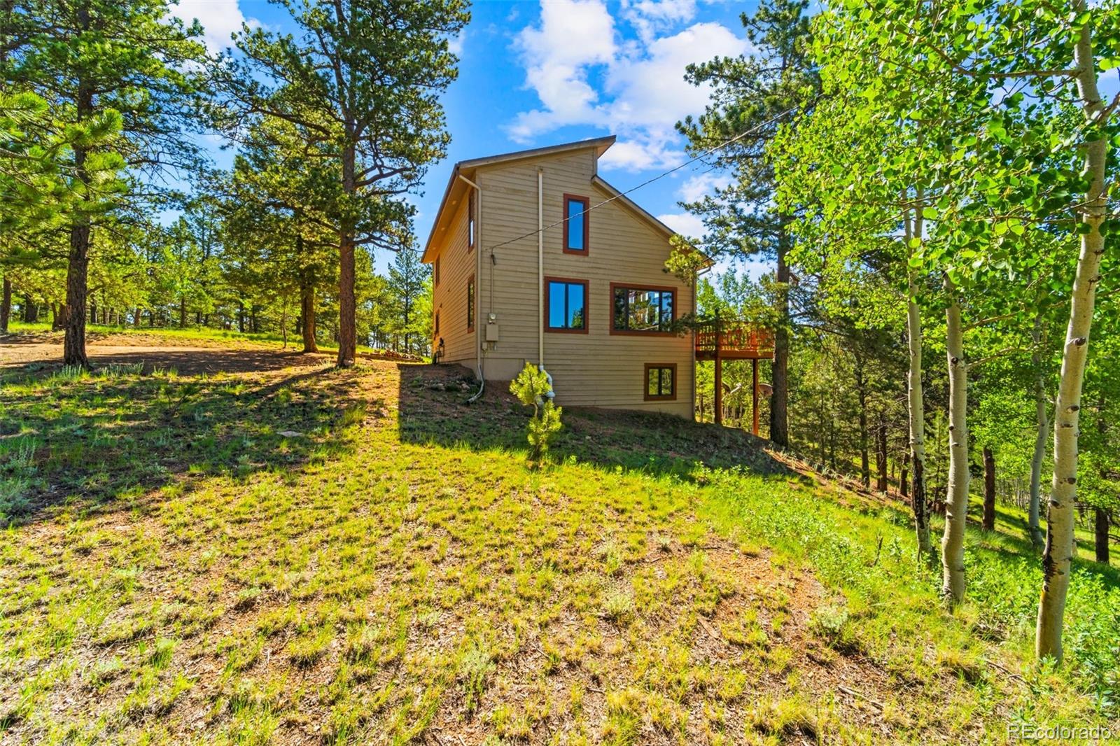 MLS Image #39 for 330  cottonwood lake drive,divide, Colorado