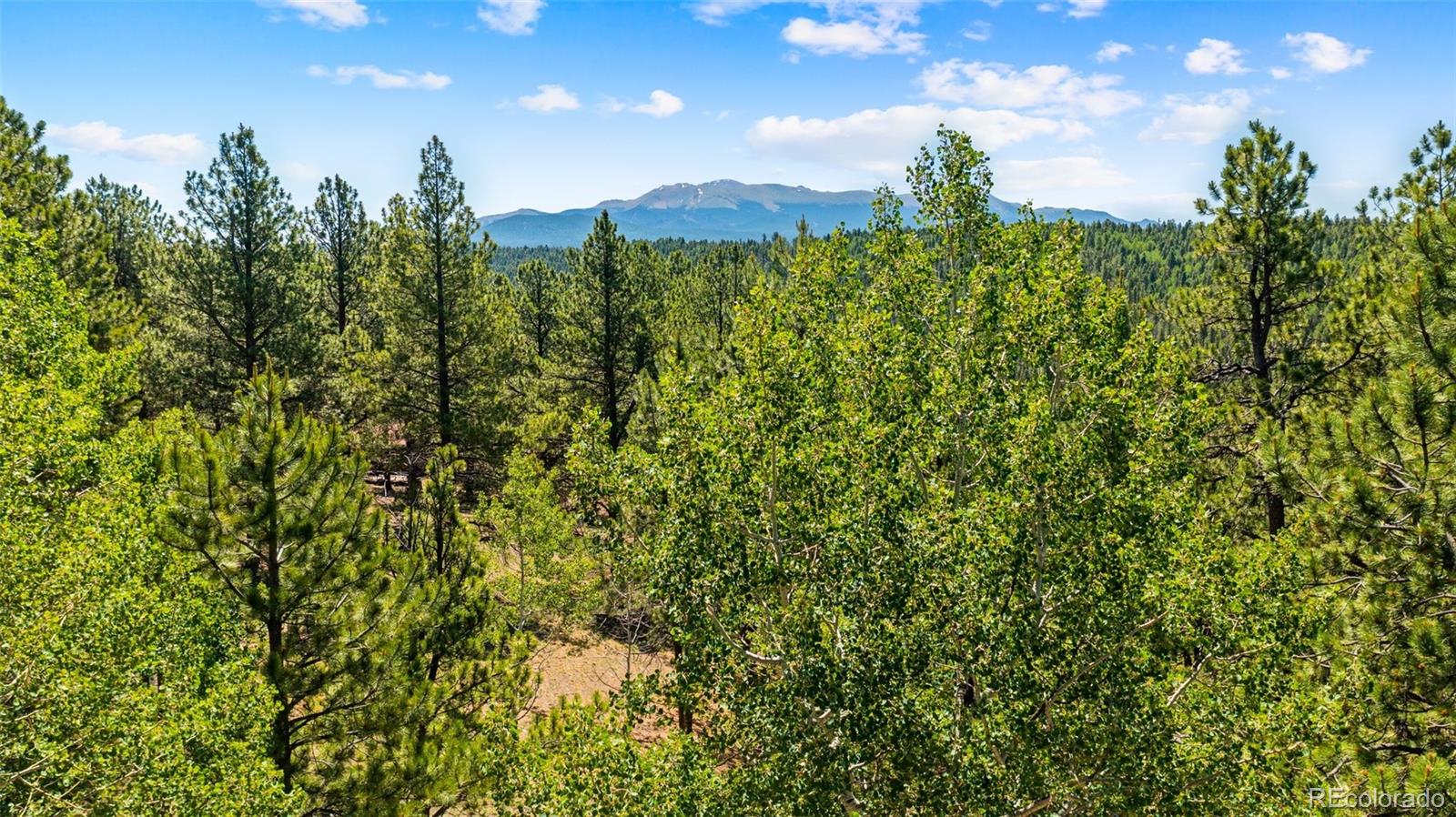 MLS Image #41 for 330  cottonwood lake drive,divide, Colorado