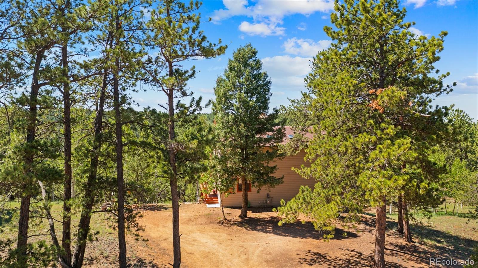 MLS Image #7 for 330  cottonwood lake drive,divide, Colorado