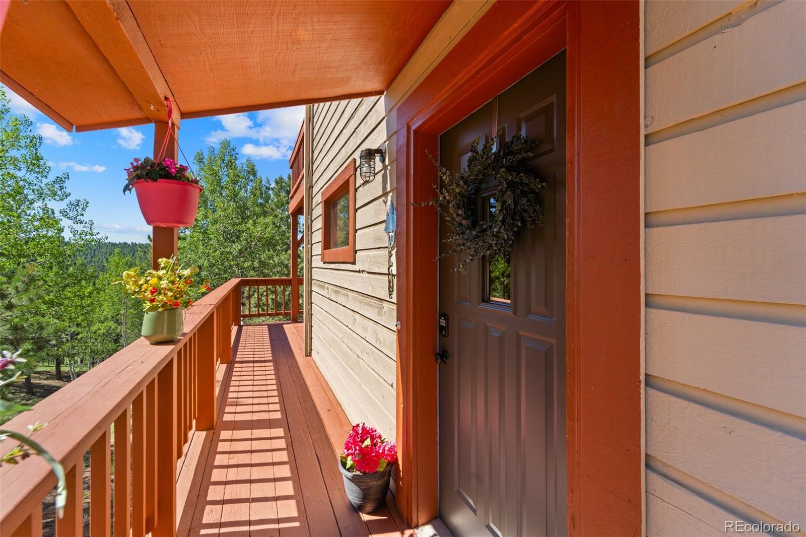 MLS Image #8 for 330  cottonwood lake drive,divide, Colorado