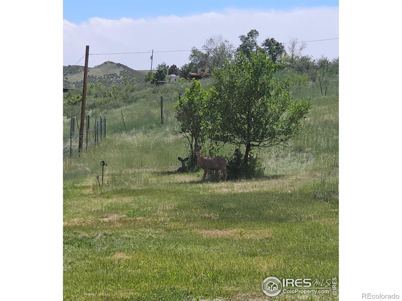 MLS Image #37 for 6811 w county road 20 ,loveland, Colorado