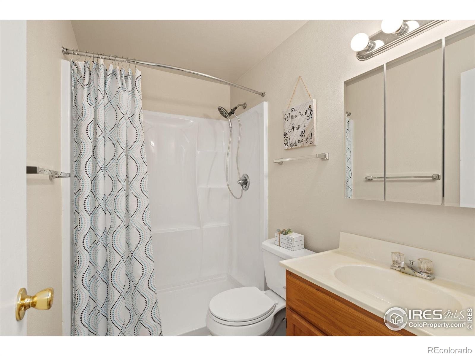 MLS Image #14 for 707  3rd street,windsor, Colorado