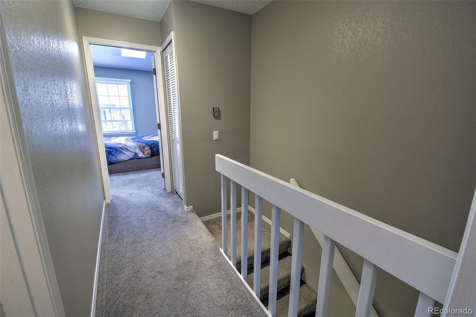 MLS Image #10 for 8022 s columbine court,centennial, Colorado