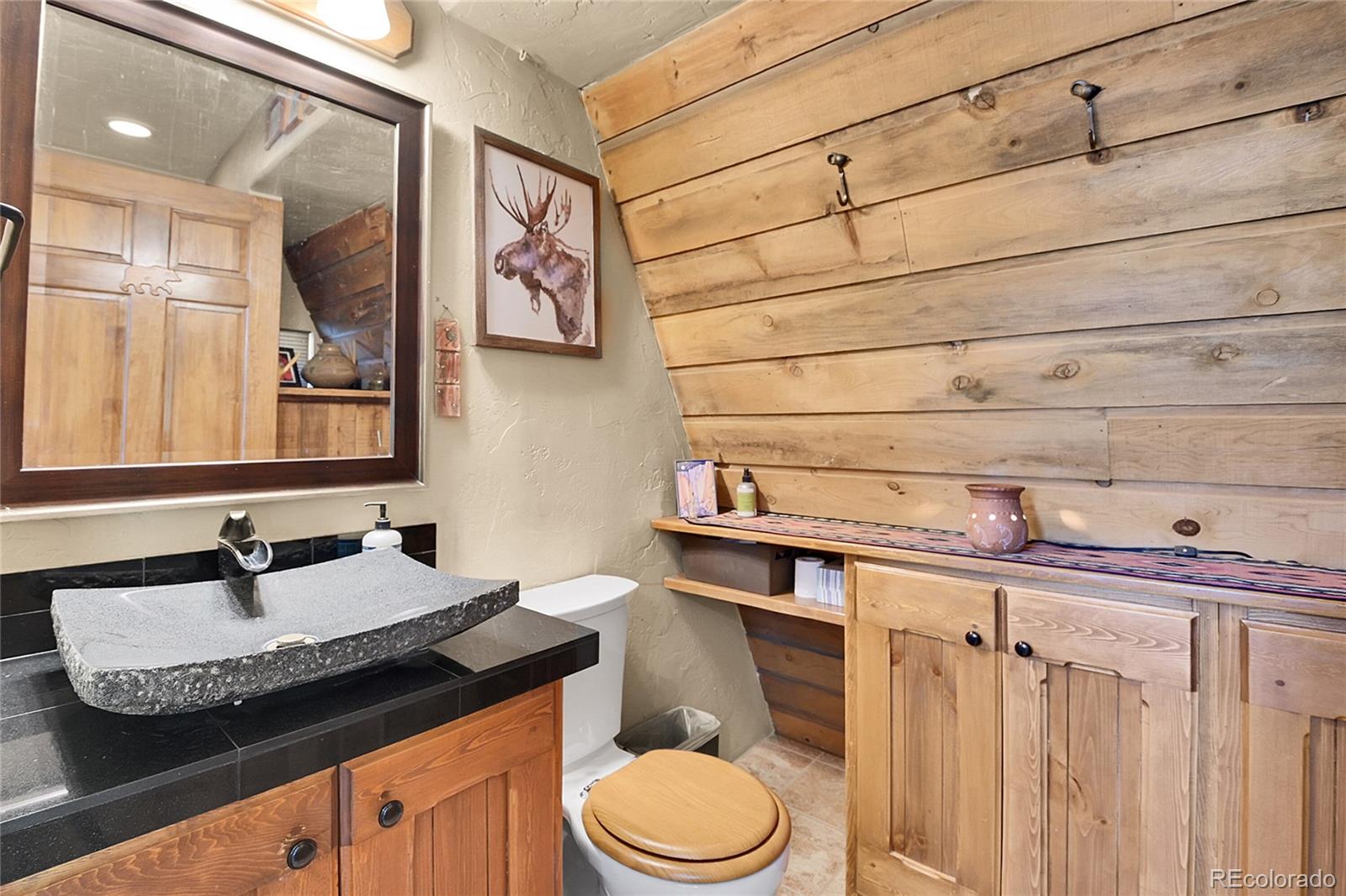 MLS Image #13 for 58  goldfinch place,alma, Colorado