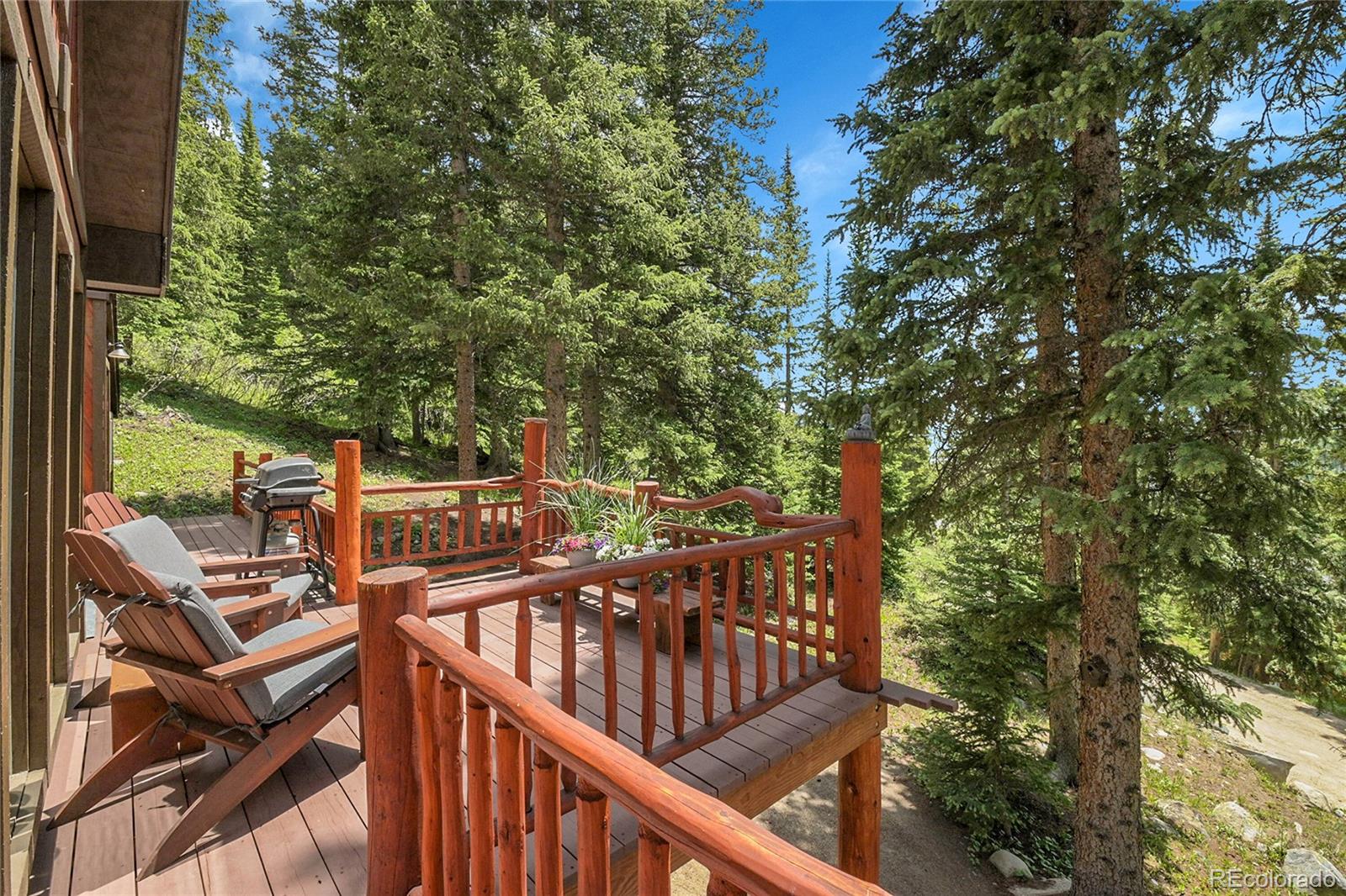 MLS Image #28 for 58  goldfinch place,alma, Colorado