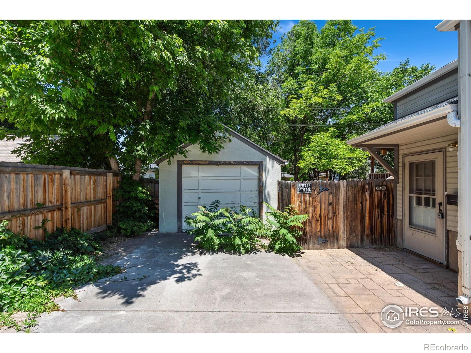 MLS Image #5 for 422 e prospect road,fort collins, Colorado