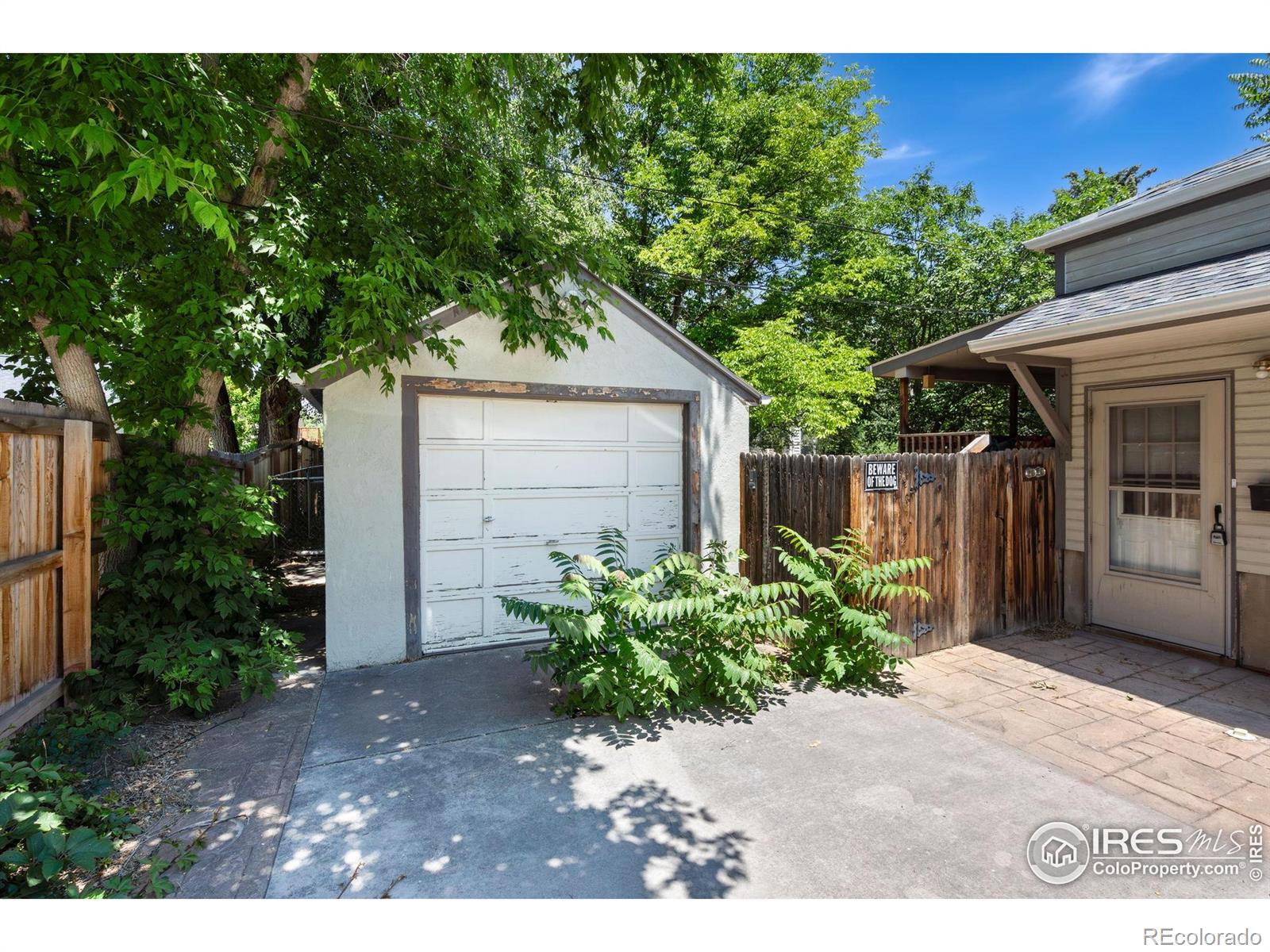 MLS Image #6 for 422 e prospect road,fort collins, Colorado