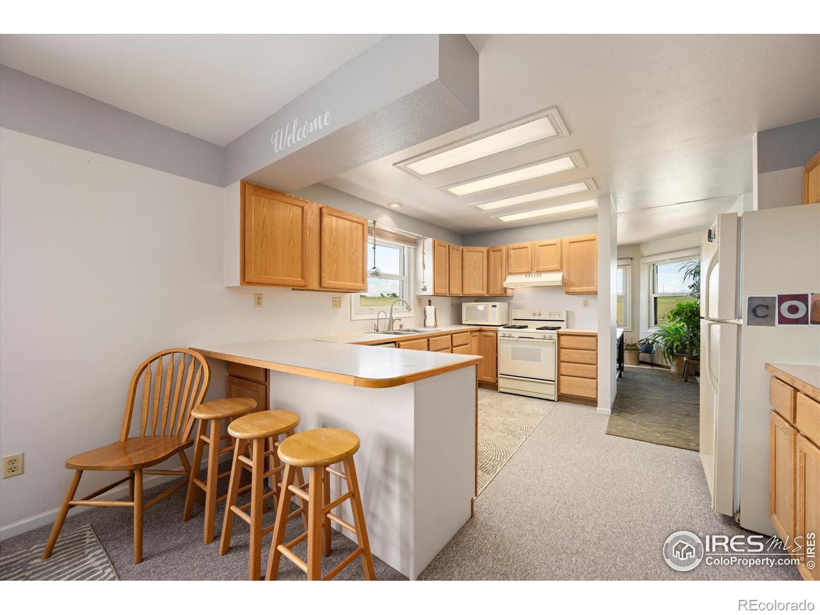 MLS Image #11 for 8504  county road 84 ,fort collins, Colorado