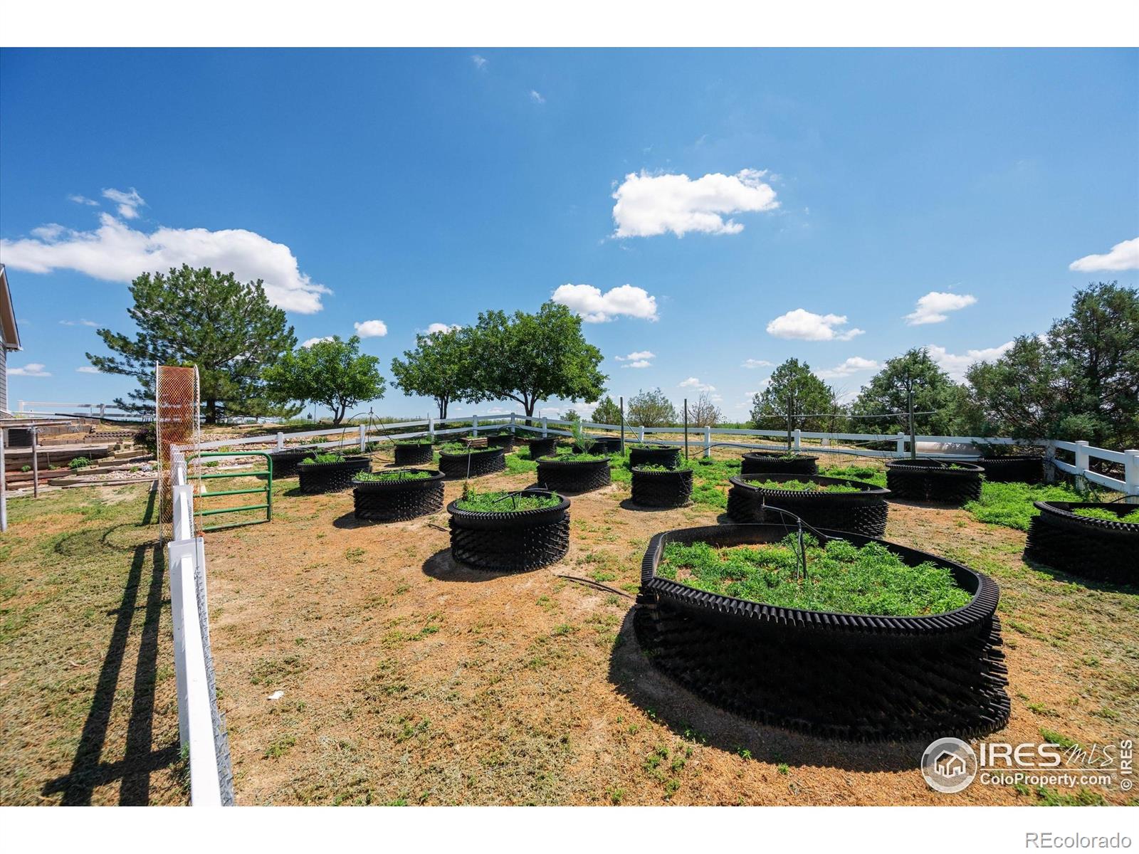MLS Image #26 for 8504  county road 84 ,fort collins, Colorado