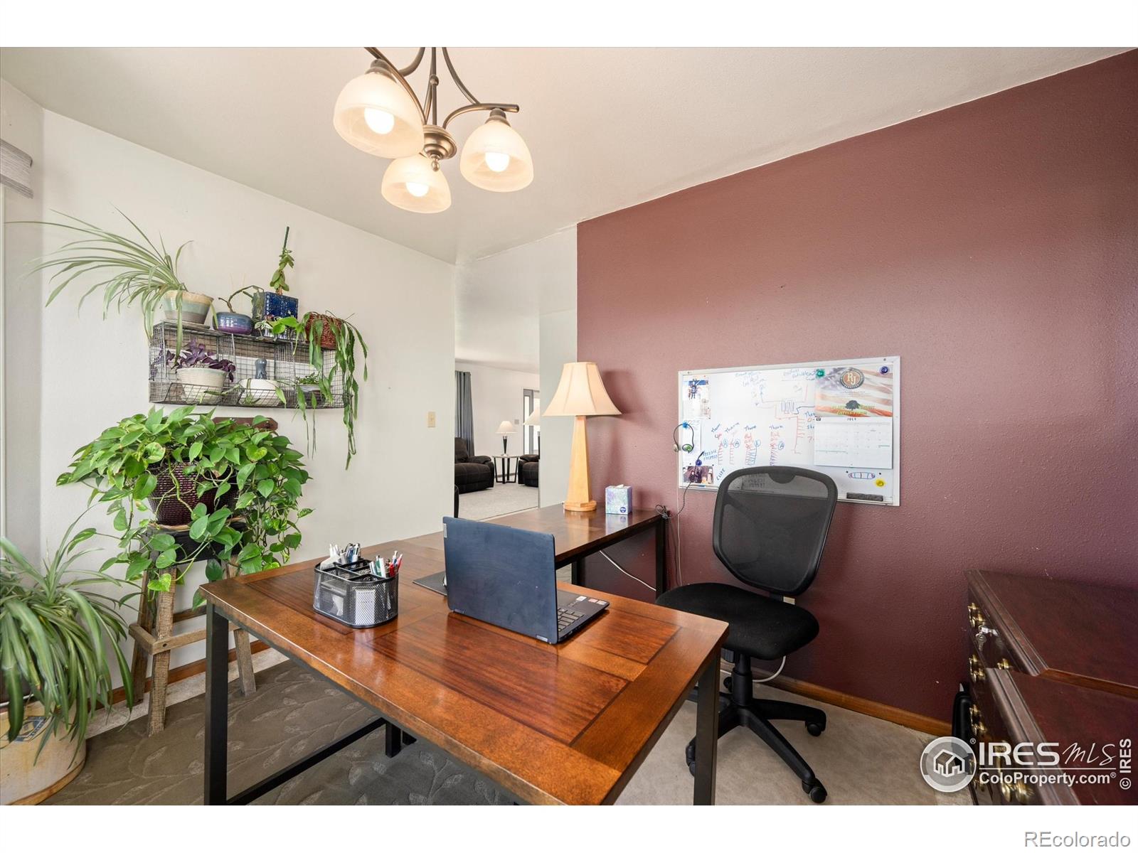 MLS Image #7 for 8504  county road 84 ,fort collins, Colorado