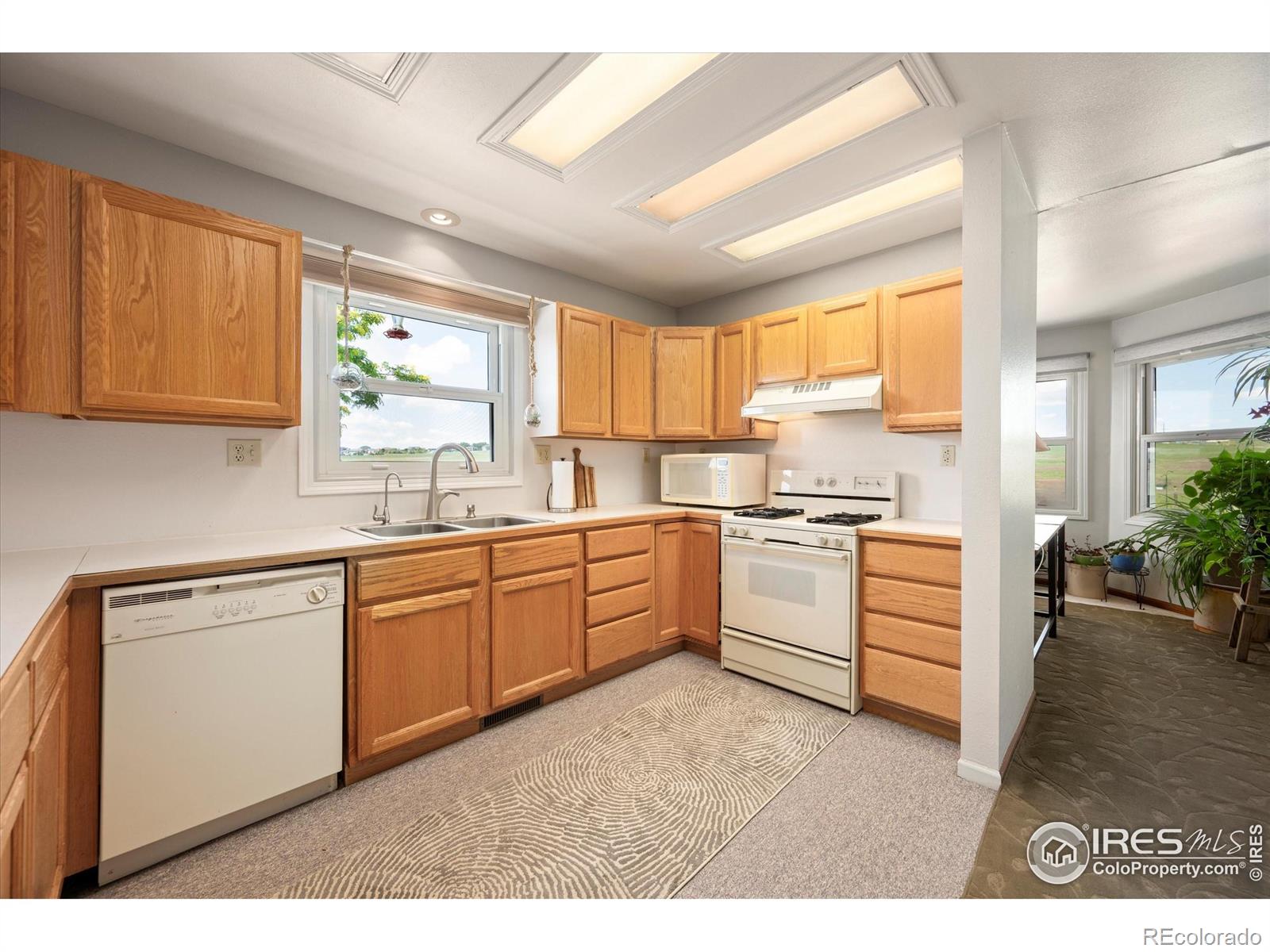 MLS Image #8 for 8504  county road 84 ,fort collins, Colorado