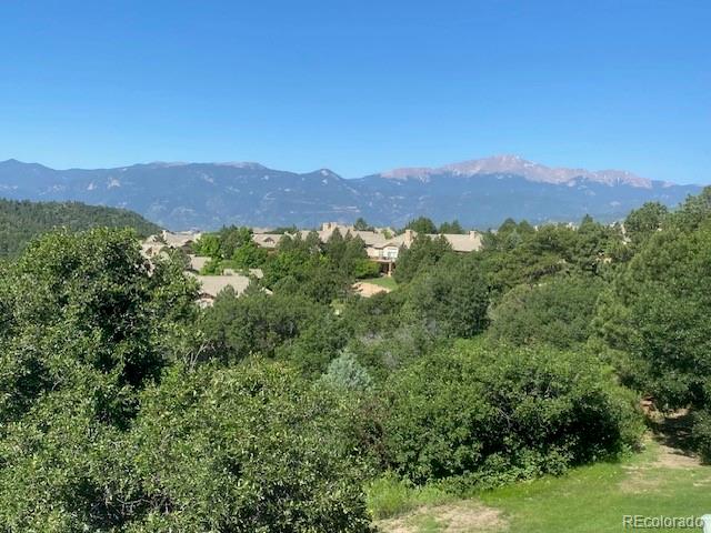 MLS Image #31 for 1968  erin loop,colorado springs, Colorado