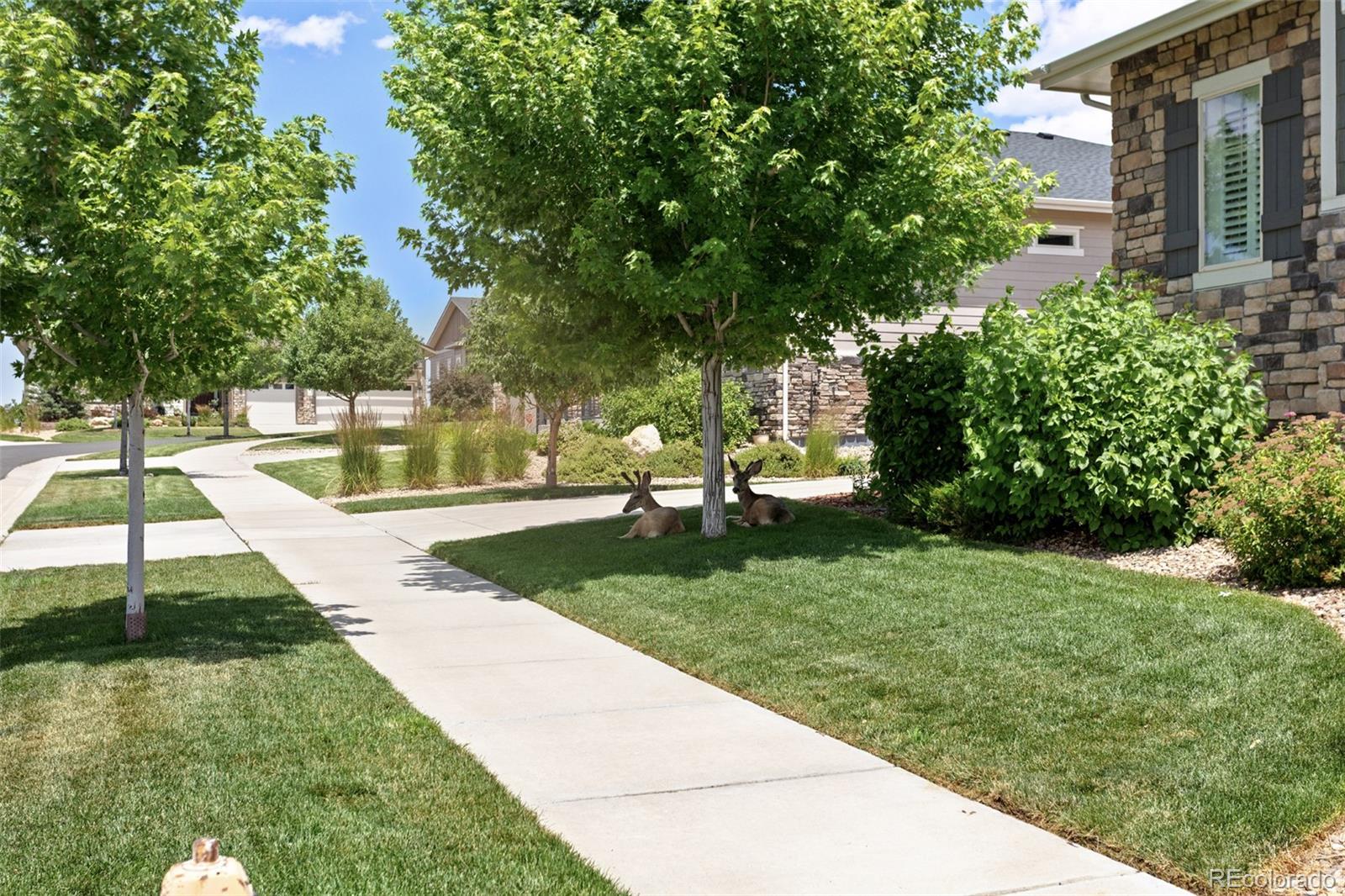 MLS Image #26 for 22878 e bailey circle,aurora, Colorado